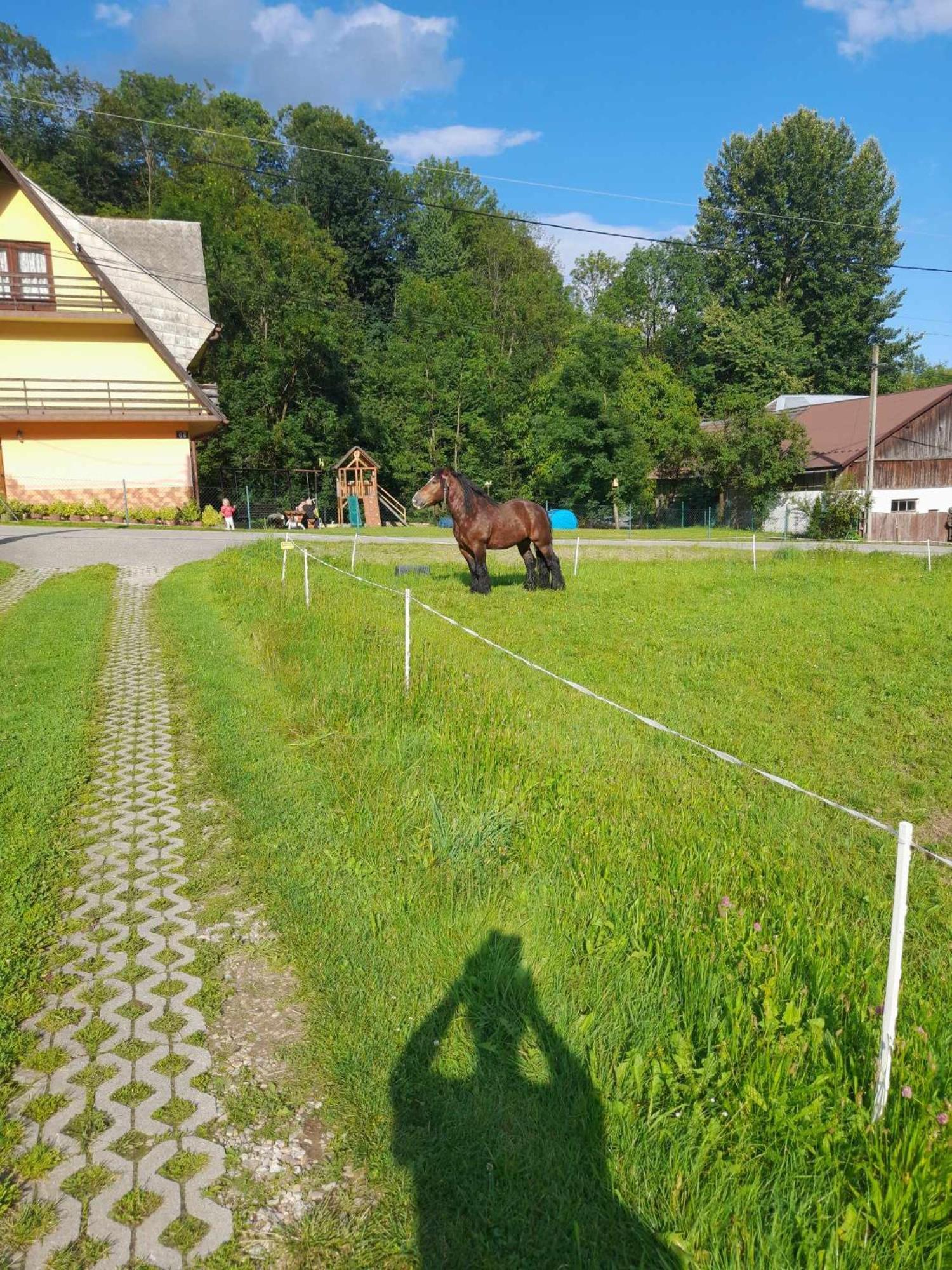 Ferienwohnung Zakatek Pienin Grywald Exterior foto